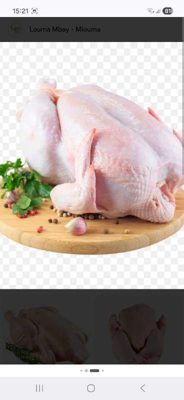 Poulet de chaire, image 1